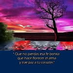 Irma Aparicio Quintana - @irma._aparicio - Instagram