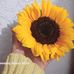 Irma Aragon - Facebook