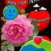 Irma Arce - Facebook