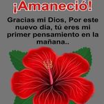 Elida Archer - @hirma.archer09 - Instagram