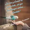 user5951949668115 - @irma29arcos - TikTok