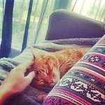 Irma Armstrong - @snarplegay4 - Instagram