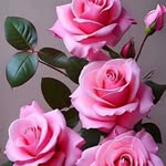 Irma Baca - @irmabacachacon - Instagram