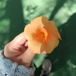 irma.a15 - @irma_baeza - Instagram