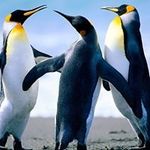 Irma Bahena - @irma.bahena.71 - Instagram
