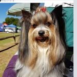Irma Bailey - @irmadubiewers - Instagram