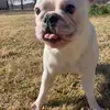 irmaballs - @funneymonkay - TikTok