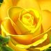 Irma Ballard - Facebook