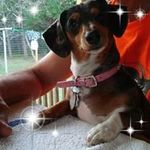 Irma N Doug Ballard - @irmandoug - Instagram
