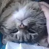 AXN ANDREI - @irmabarnard825618 - TikTok