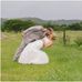Irma Barnard - Facebook