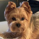 Irma Barnes Adkins - @irmabarnesadkins - Instagram