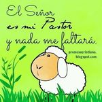 Irma Batres - @irma.batres - Instagram