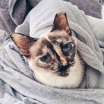 Irma - @irma.bean - Instagram