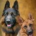 Irma Benavides - Facebook