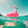 Irma Benavides - @irmaoliverosbenav - TikTok