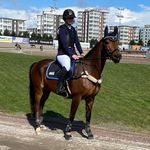 Irma_Bergsten - @irma_bergsten - Instagram