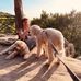 Irma Bond-Golhof - Facebook