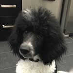 Irma Rose Twyman - @irma_boomer - Instagram