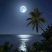 Irma Camargo - Facebook
