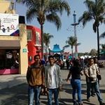 isabel irma cañas carrillo - @isabelirmacan - Instagram