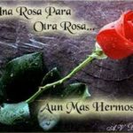 Irma Cano - @irma.cano.77312 - Instagram