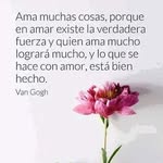 Irma Casillas - @irma.casillas.50 - Instagram