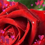 Irma Centeno - @irmacenteno_999 - Instagram