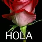 Irma Cepeda - Facebook