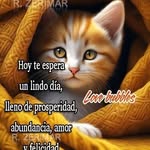 Irma Ceron Rodrigues - @irmaceronrodrigues - Instagram