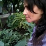 Irma Chacon - @irma.chacon.5494 - Instagram