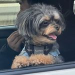 Irma - @irmachaconb - Instagram