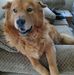 Irma Chaidez - Facebook