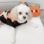 Irma Chang - Facebook