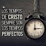 Irma Chang Alfaro - @irmachangalfaro - Instagram