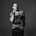 chester - @chester.birmang - Instagram
