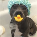 Irma Coleman - Facebook