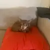 irmacordon1 - @irma.cordon5 - TikTok