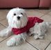 Irma Costa - Facebook
