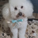 Irma Costa - @irmacosta668 - Instagram