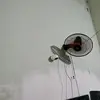 Irma Douglas - @irma.douglas - TikTok