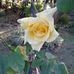 Irma Duarte - Facebook