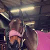 emma.edwards82 - @emma.edwards82 - TikTok