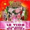 irmaespiritu300 - @irmaespiritu300 - TikTok