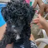 irmafalcon602 - @irmafalcon602 - TikTok