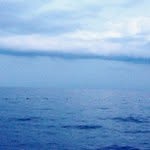 Irma Farmer - @pintastrely - Instagram