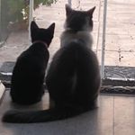 Boni Gani - @irma.garibay1 - Instagram