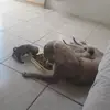 Irma Garibay - @irmagaribay29 - TikTok
