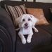 Irma Guajardo Fernandez - Facebook