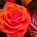 Irma Velia Guajardo - Facebook